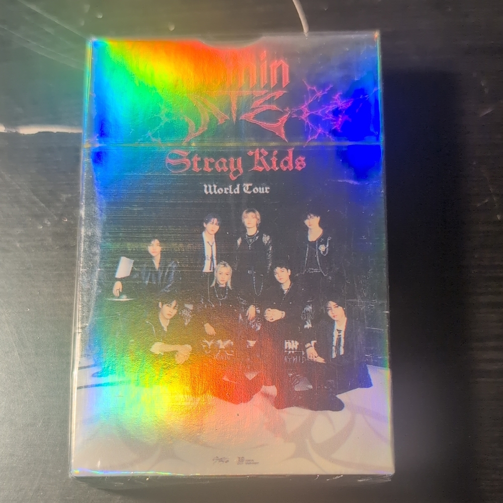 55 Photo Cards SKZ Domin